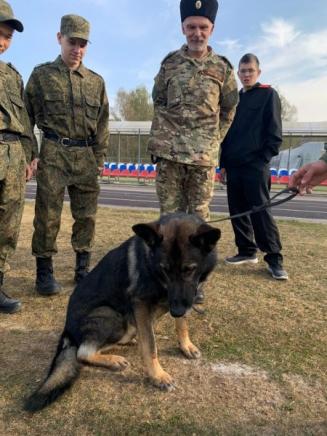 Экскурсия в питомник служебных собак "Красная Звезда"